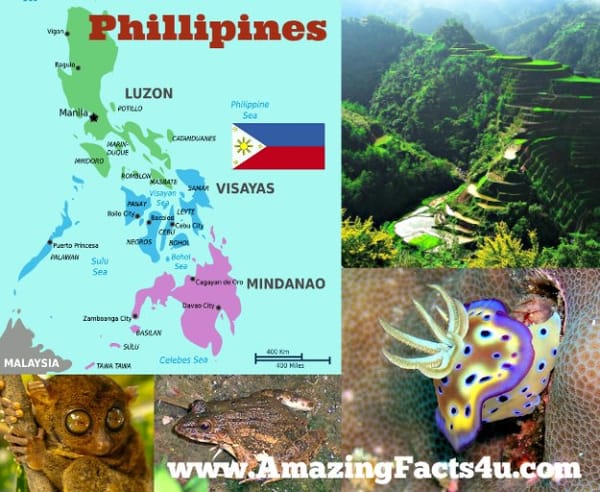 Phillipines Amazing Facts