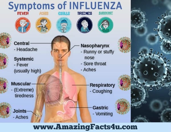 amazing-facts-influenza