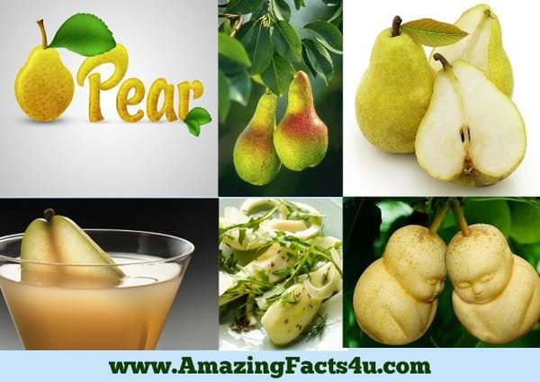 amazing-facts-pear