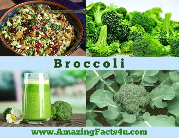 Amazing Facts Broccoli