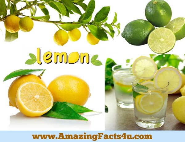 Amazing Facts Lemon