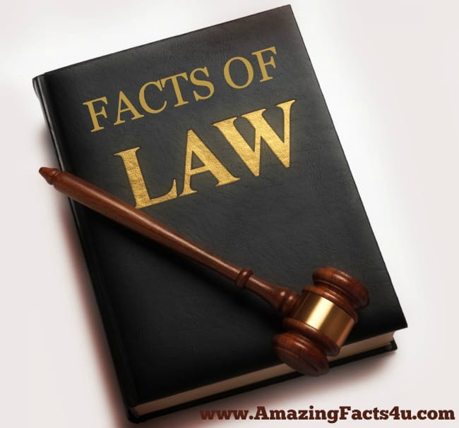 Law - Amazing Facts 4 u