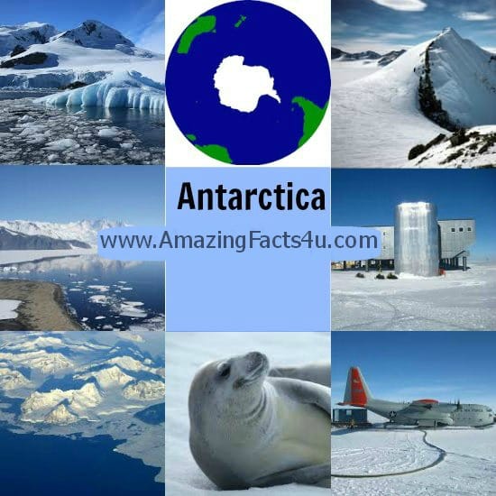 Antarctica - Amazing Facts 4 u