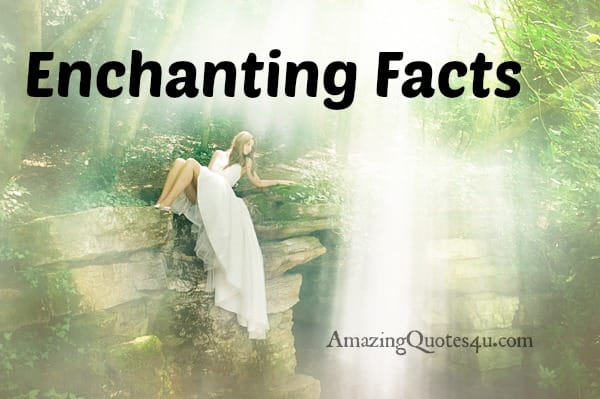 Enchanting Facts - Amazing Facts 4 u