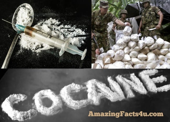 Cocaine Amazing facts