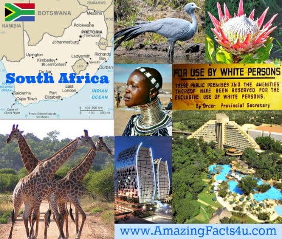 South Africa Amazing Facts