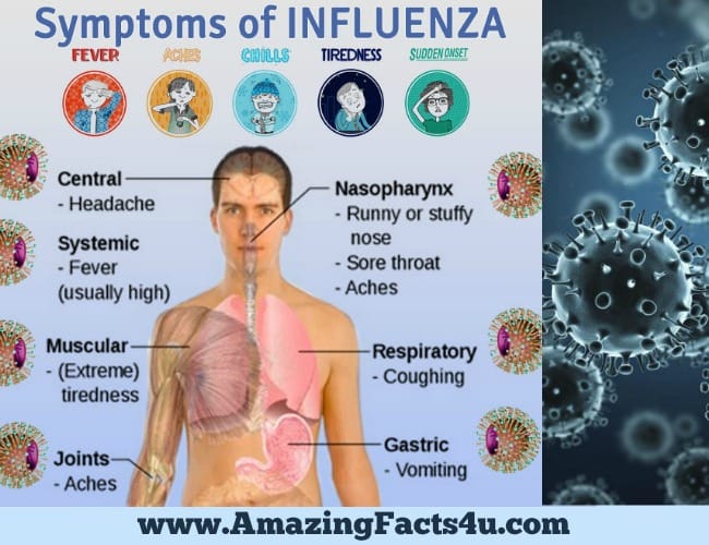 amazing-facts-influenza