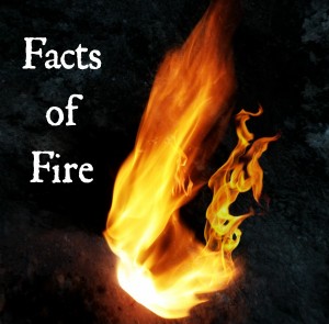 - Amazing Facts 4 u