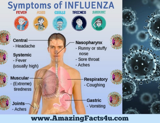 25 Amazing Facts About Influenza | Amazing Facts 4U