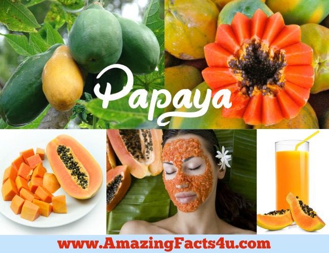 40 Amazing Facts About Papaya Amazing Facts 4U